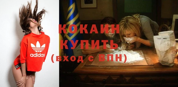 дмт Новодвинск